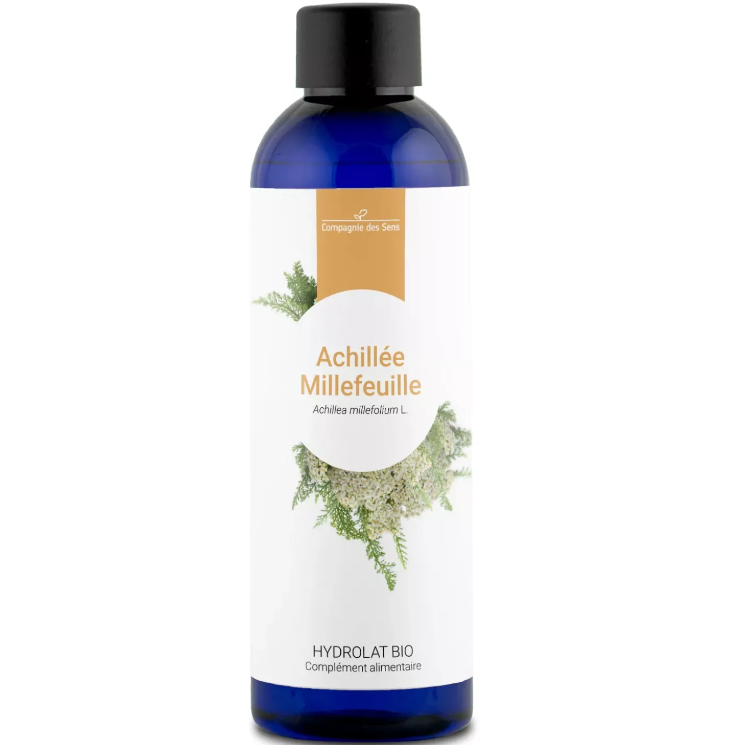 Achillee millefeuille