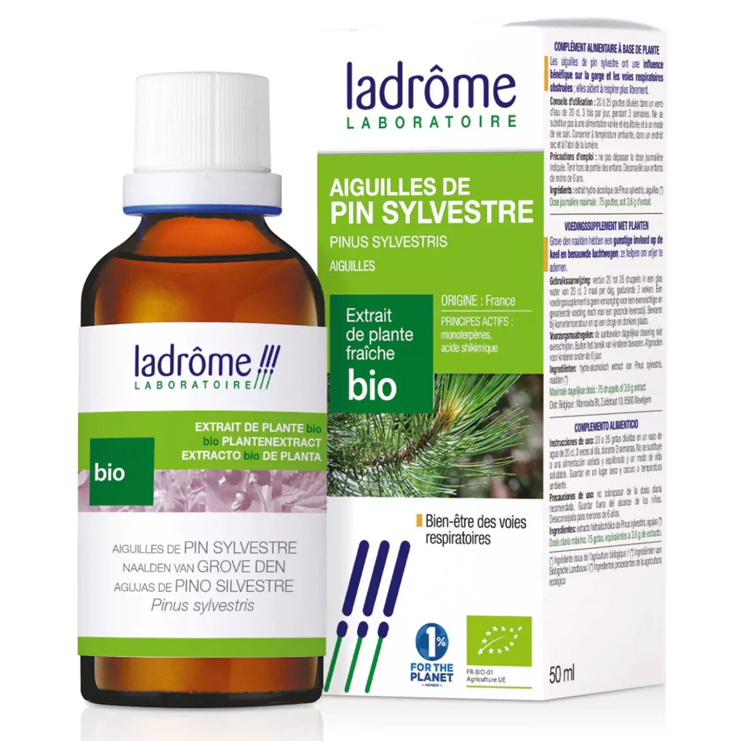 Aiguilles de Pin Sylvestre bio – Pinus Sylvestris – Extrait hydroalcoolique concentré