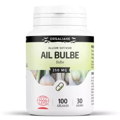 Ail Bulbe