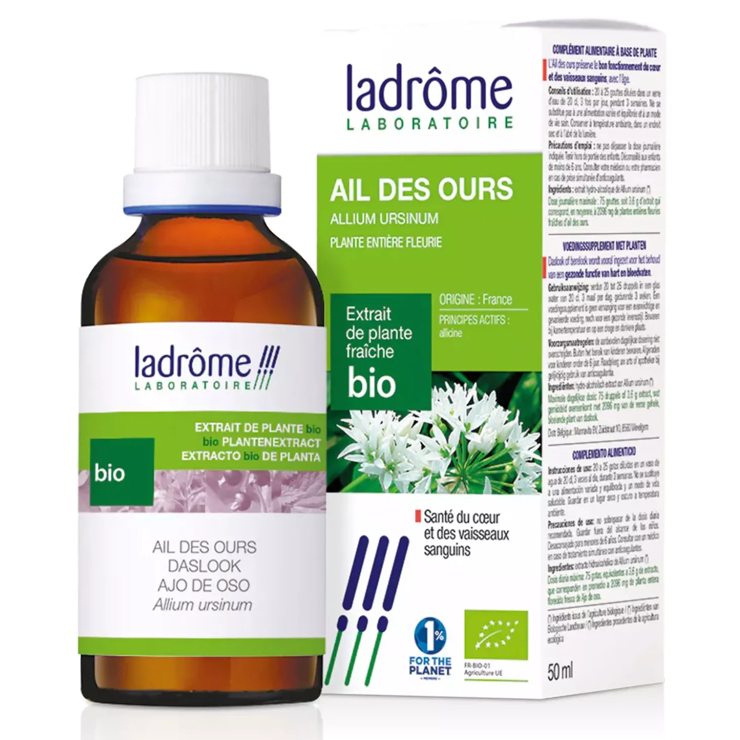 Ail des Ours (Ail des bois) bio – Allium Ursinum – Extrait hydro-alcoolique concentré