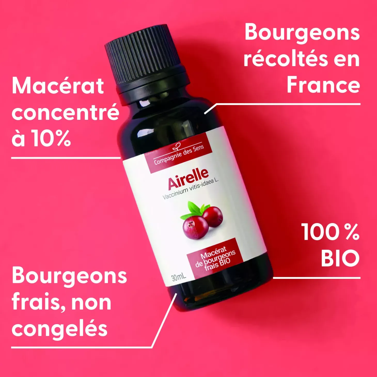 Airelle bio (Vaccinium Vitis-Idaea) – Macérat concentré de bourgeons frais