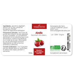 Airelle bio (Vaccinium Vitis-Idaea) – Macérat concentré de bourgeons frais