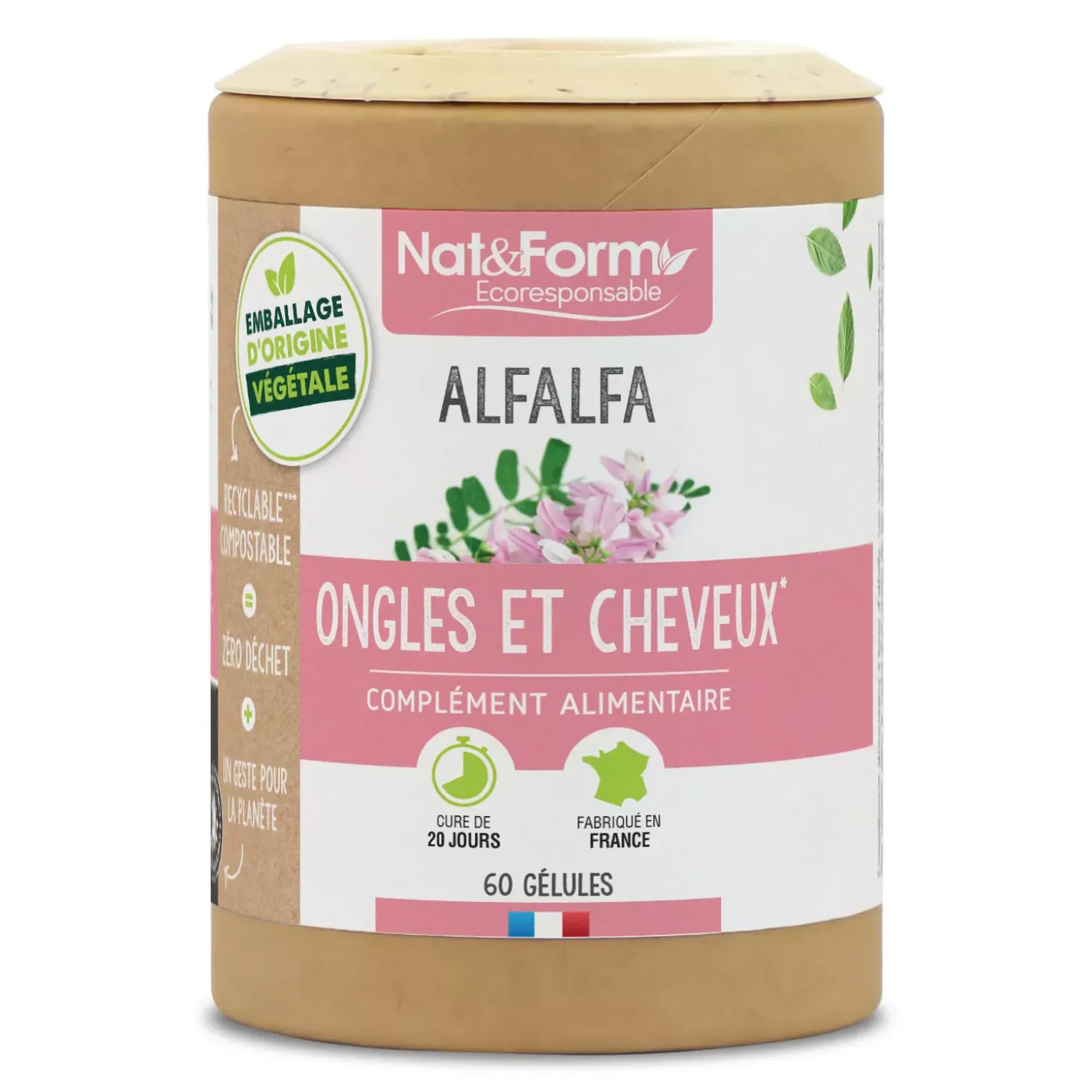 Alfalfa