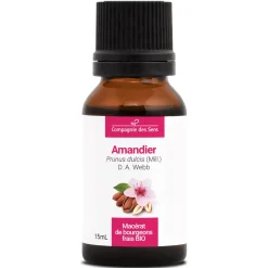 Amandier bio (Prunus Dulcis) – Macérat concentré de bourgeons frais