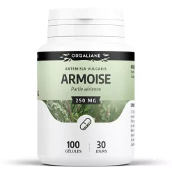Armoise – Artemisia vulgaris – 100 Gélules de 250 mg