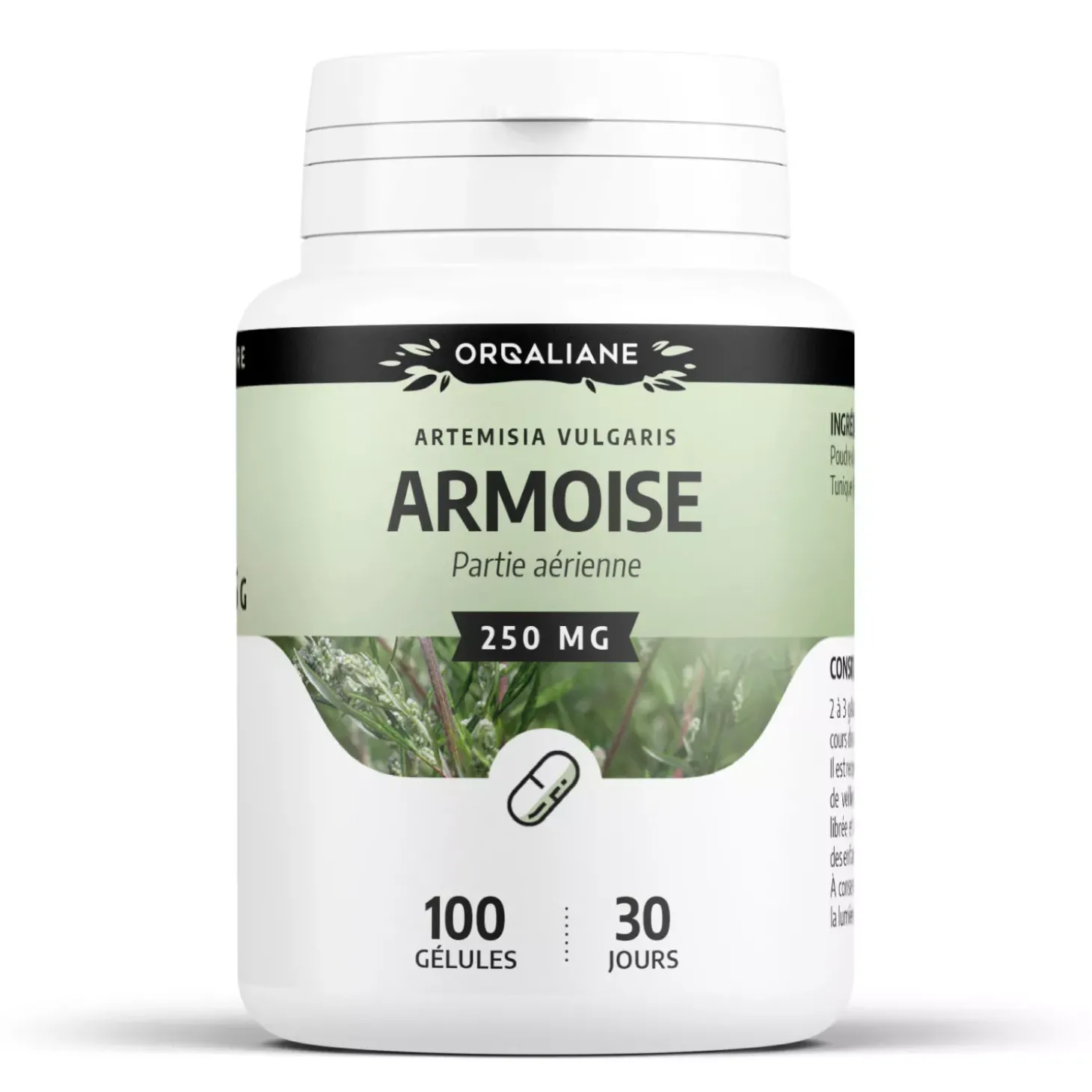 Armoise – Artemisia vulgaris – 100 Gélules de 250 mg