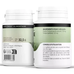 Armoise – Artemisia vulgaris – 100 Gélules de 250 mg