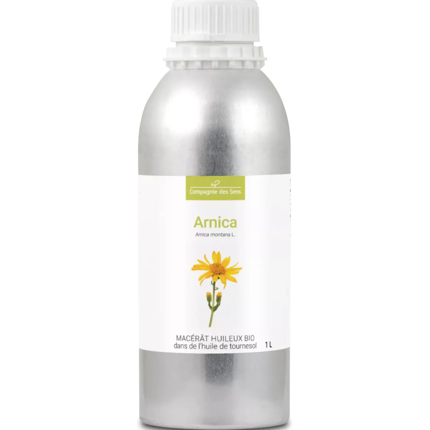 Arnica