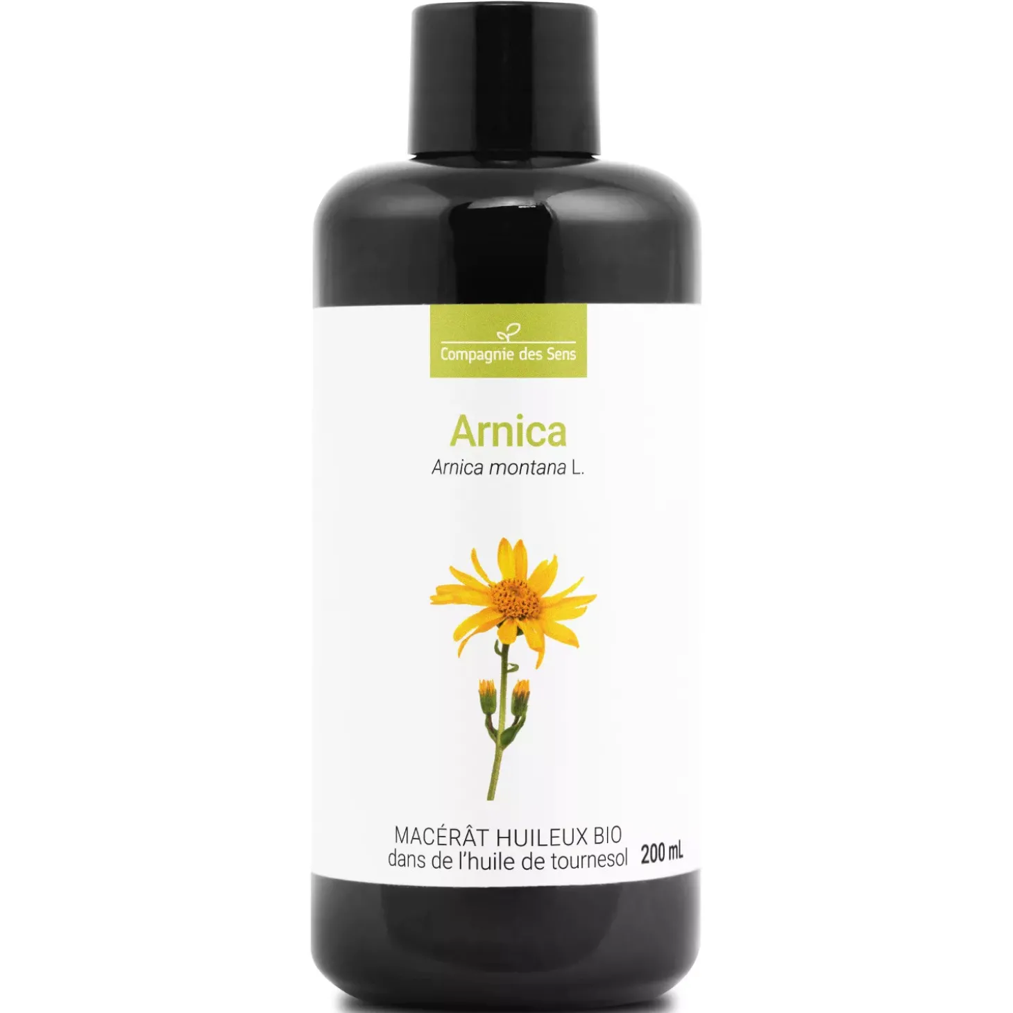 Arnica