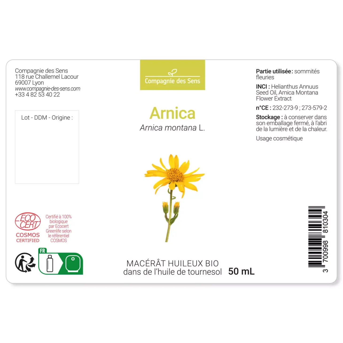Arnica