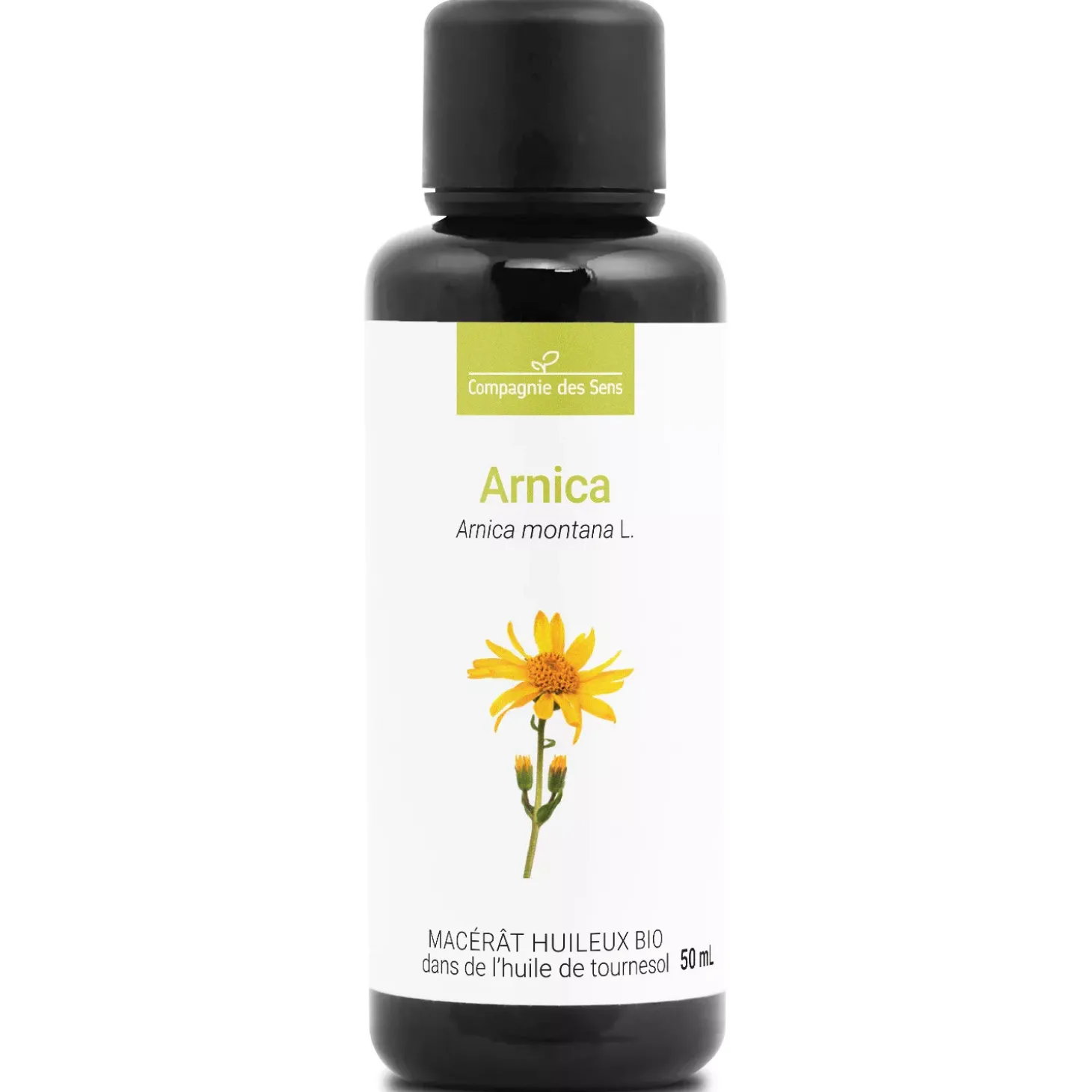 Arnica
