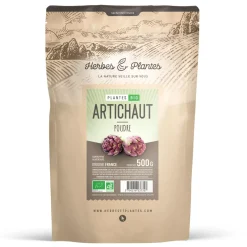 Artichaut bio