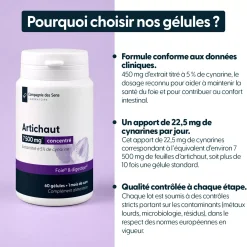 Artichaut concentré