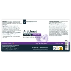 Artichaut concentré
