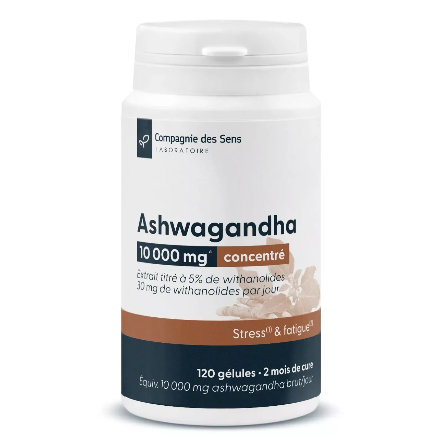 Ashwagandha concentré
