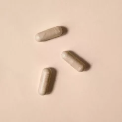 Ashwagandha concentré