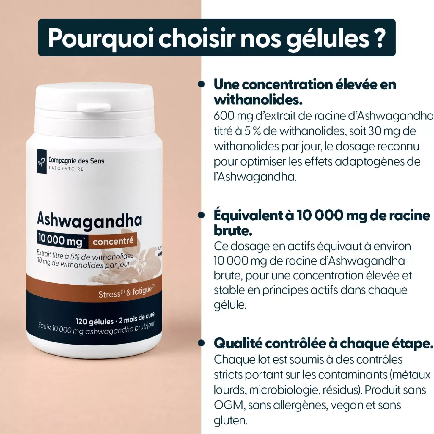 Ashwagandha concentré