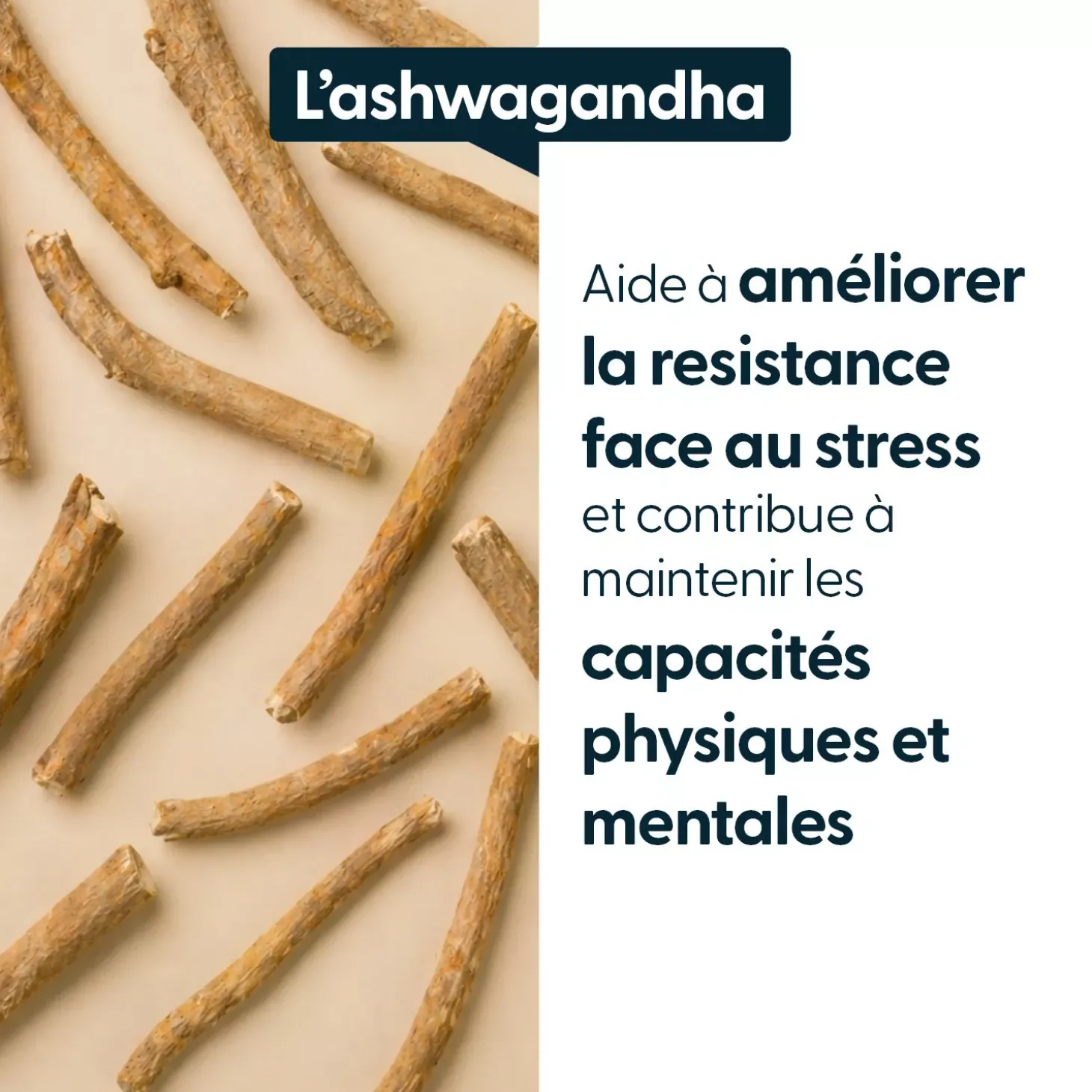 Ashwagandha concentré