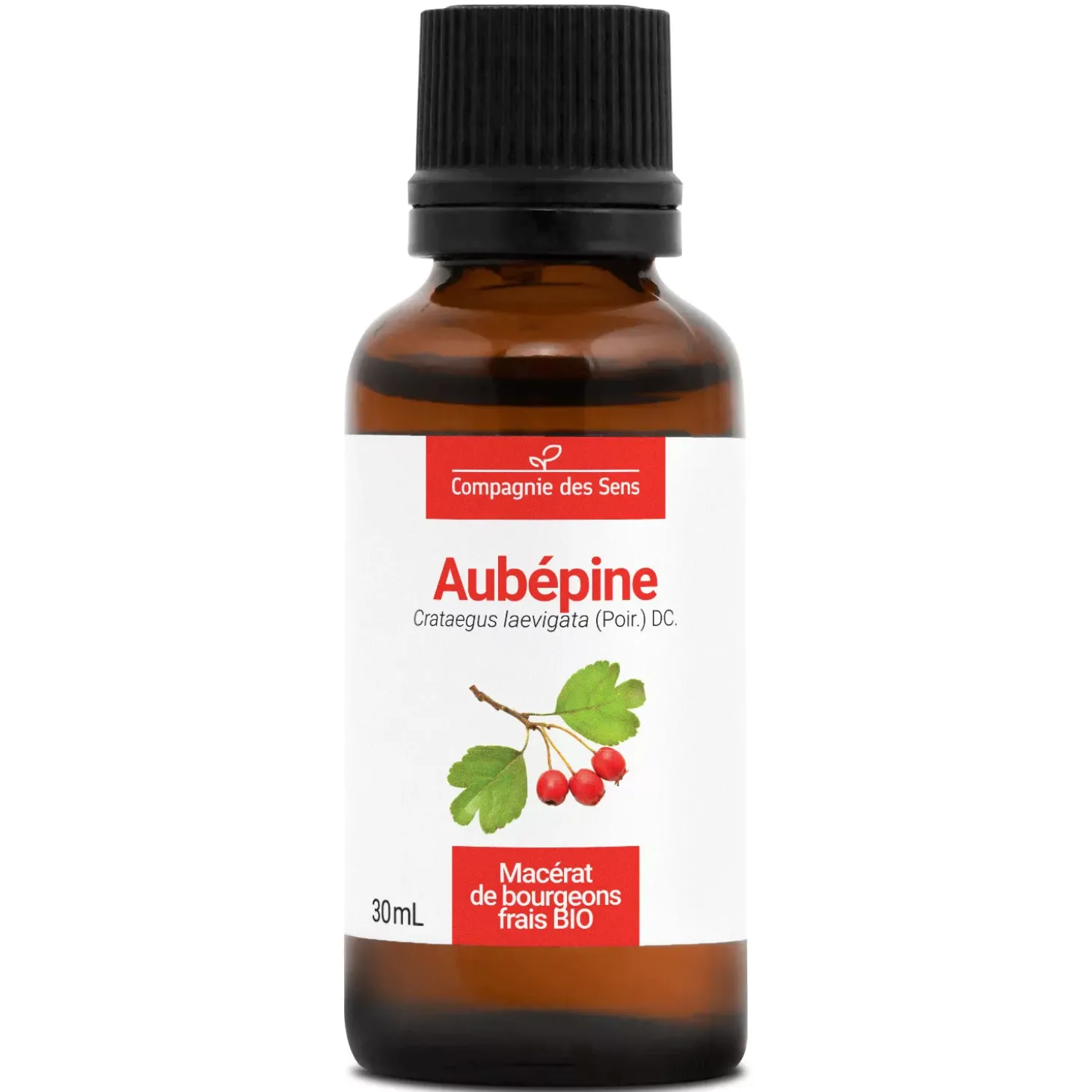 Aubépine bio (Crataegus Laevigata) – Macérat concentré de bourgeons frais