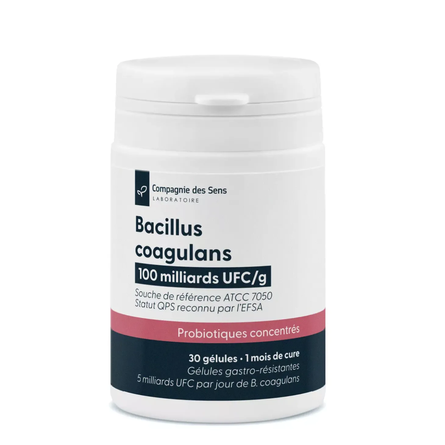Bacillus coagulans