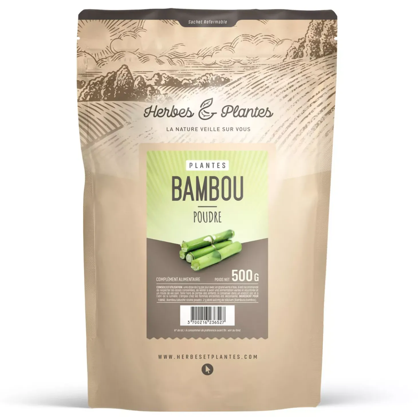 Bambou Tabashir