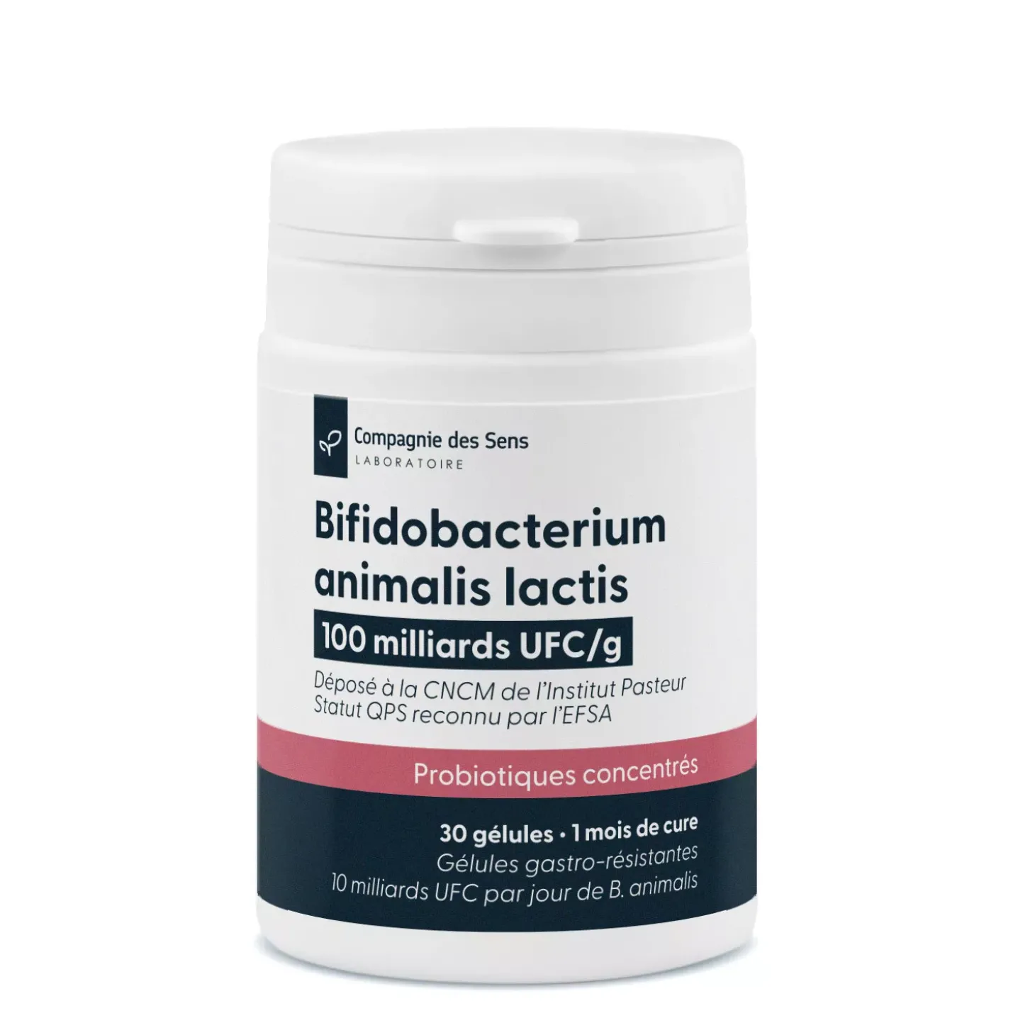 Bifidobacterium animalis lactis
