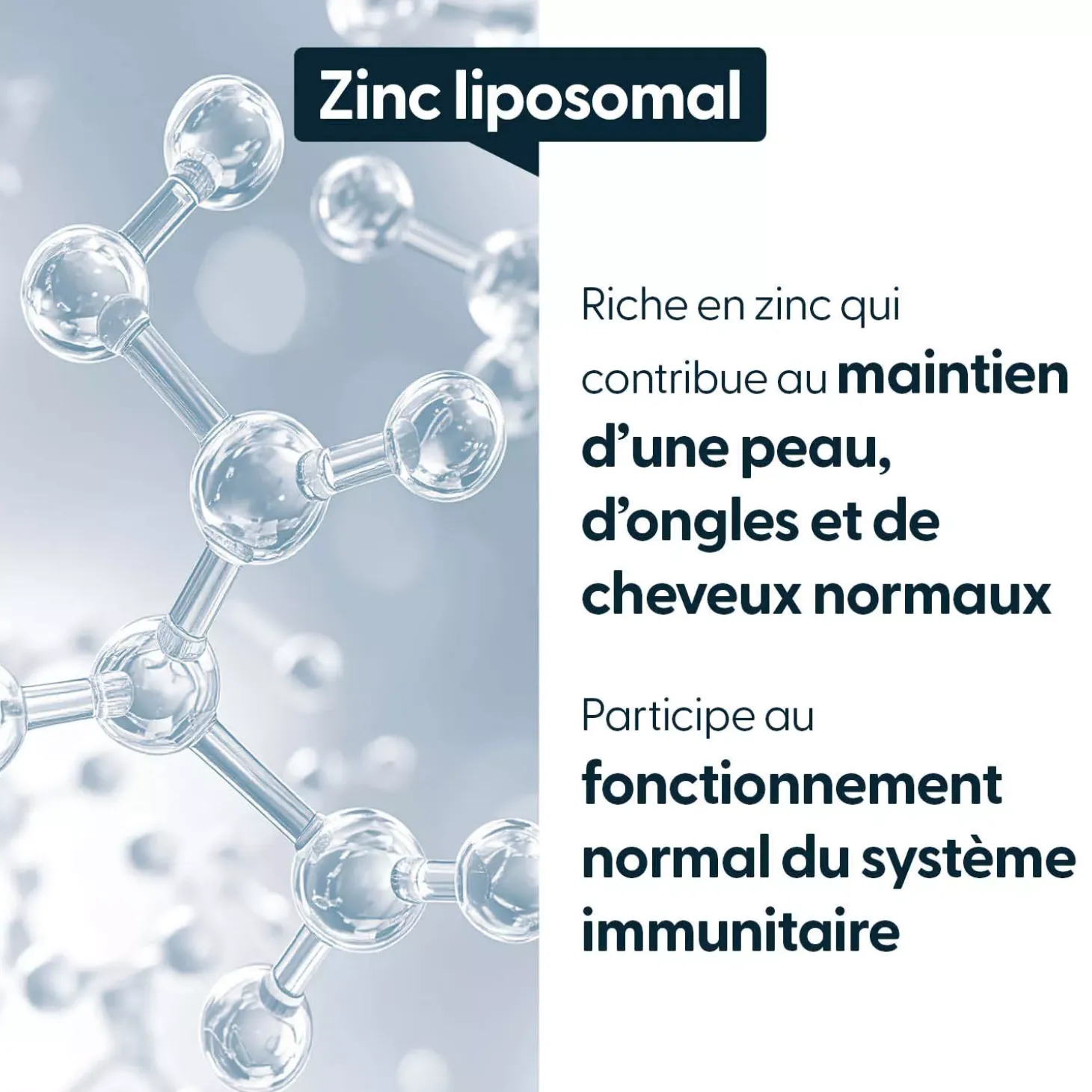 Bisglycinate de Zinc breveté Albion sf 75mg