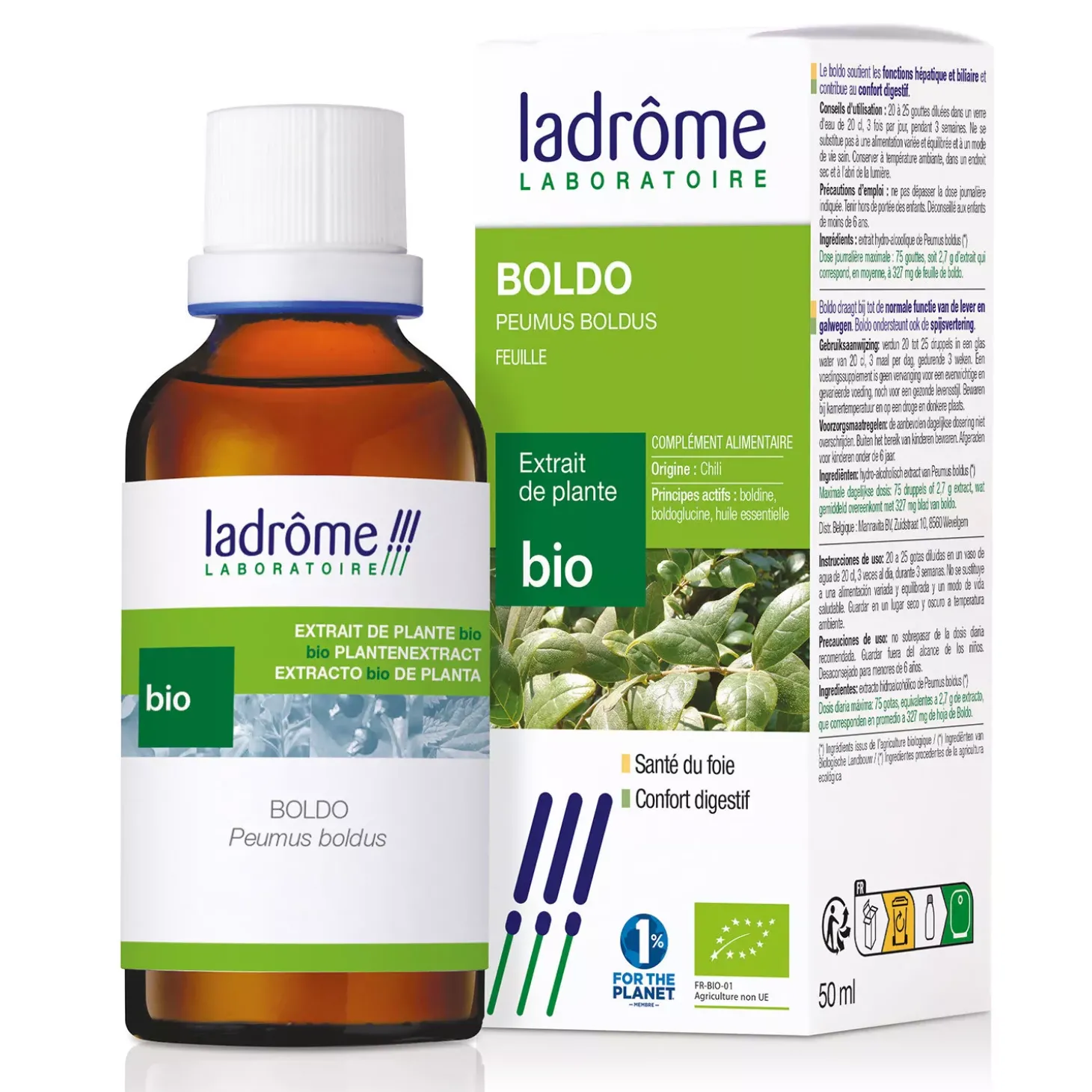 Boldo bio – Peumus Boldus – Extrait hydroalcoolique concentré