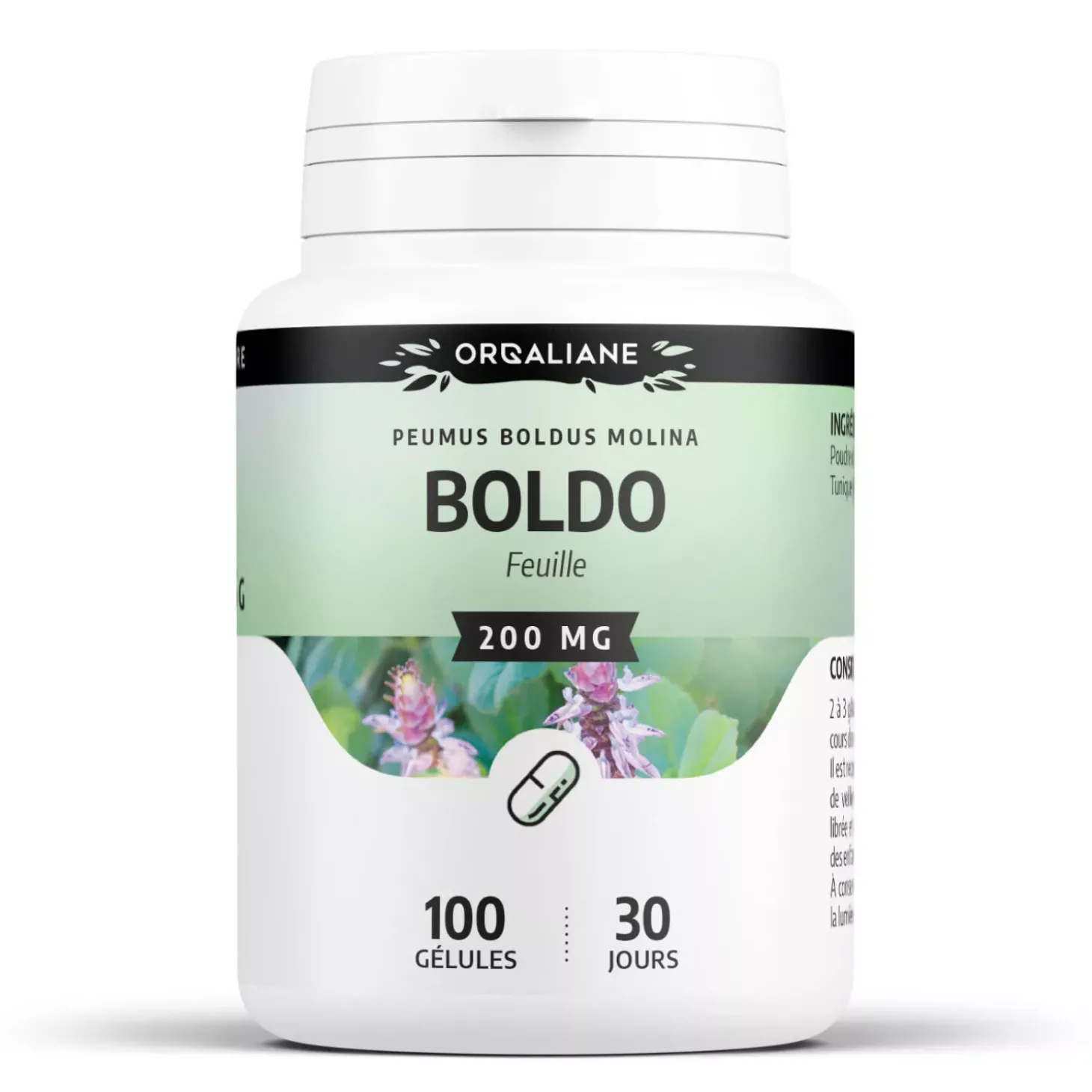 Boldo – Peumus boldus – 100 gélules de 200 mg