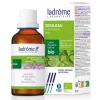 Bouleau bio – Betula Pendula – Extrait hydroalcoolique concentré