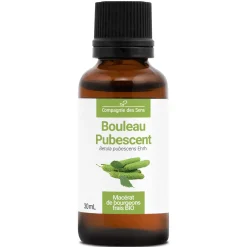 Bouleau Pubescent bio (Betula Pubescens) – Macérat concentré de bourgeons frais