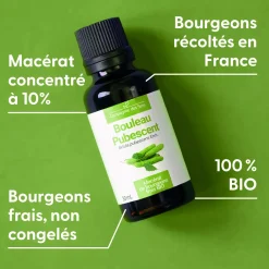 Bouleau Pubescent bio (Betula Pubescens) – Macérat concentré de bourgeons frais