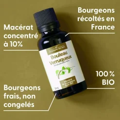 Bouleau Verruqueux bio (Betula Pendula) – Macérat concentré de bourgeons frais