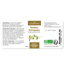 Bouleau Verruqueux bio (Betula Pendula) – Macérat concentré de bourgeons frais