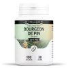 Bourgeon de Pin – Pinus sylvestris – 100 Gélules de 200 mg
