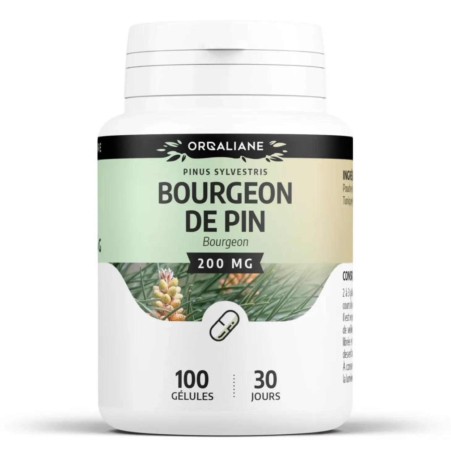Bourgeon de Pin – Pinus sylvestris – 100 Gélules de 200 mg