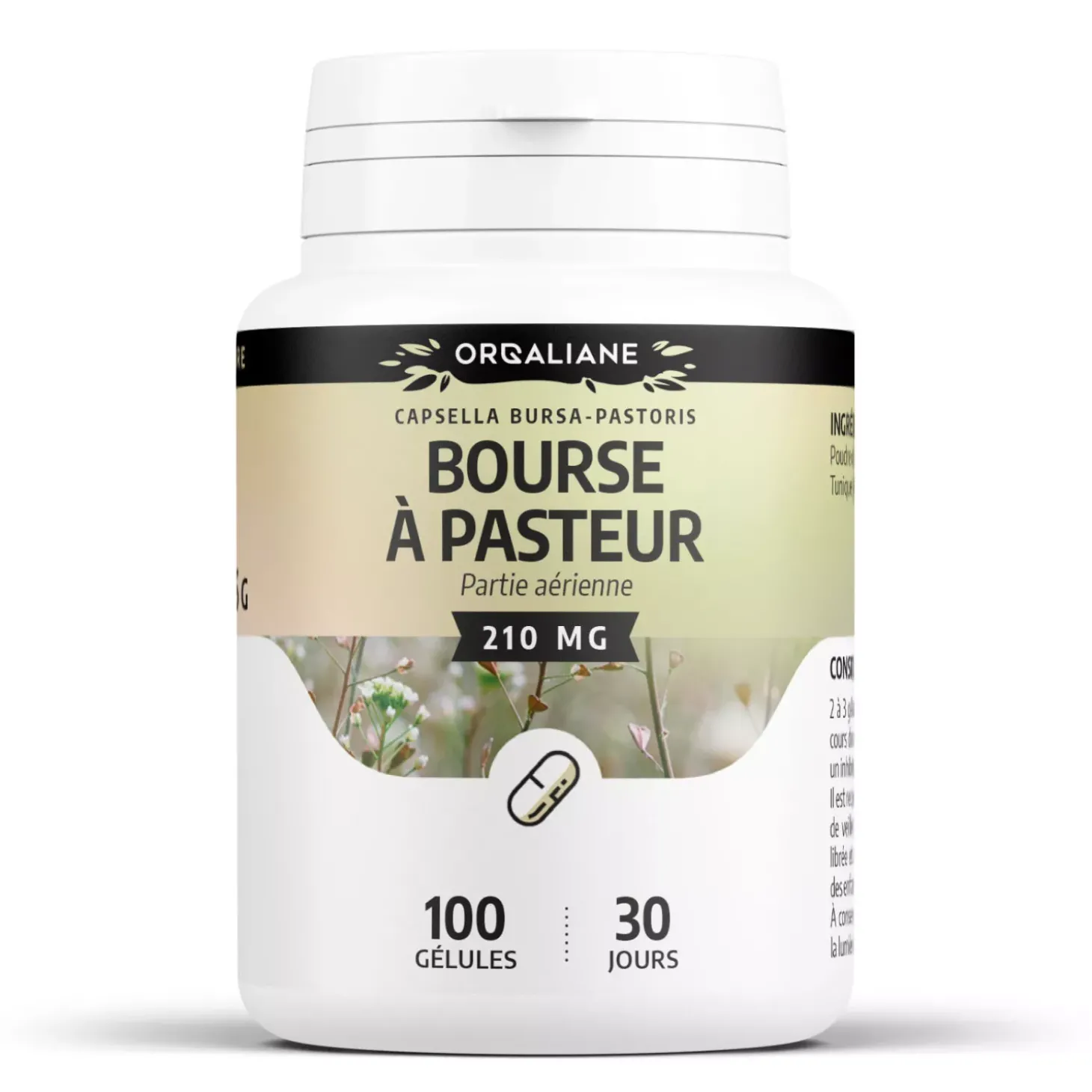 Bourse-à-Pasteur – Capsella bursa-pastoris – 100 gélules de 210 mg