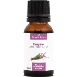 Bruyère bio (Calluna Vulgaris) – Macérat concentré de bourgeons frais