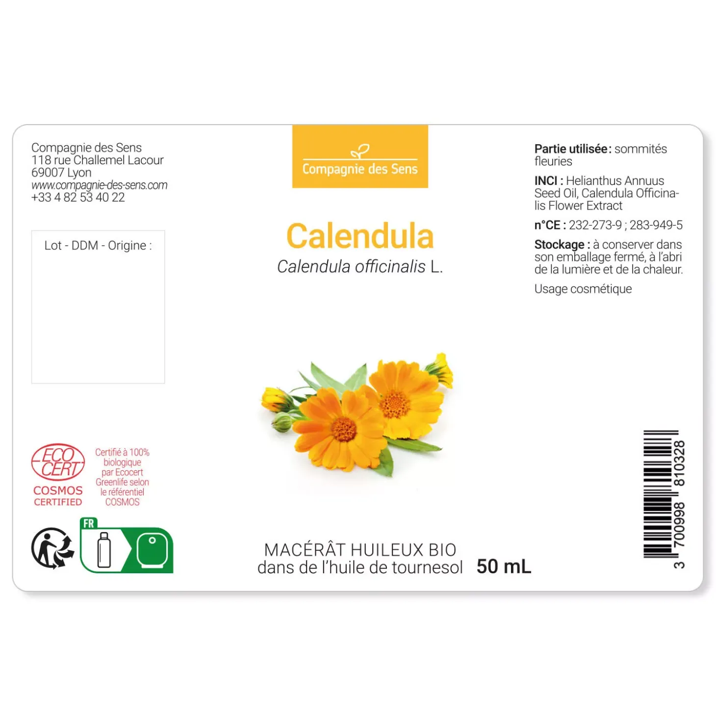 Calendula