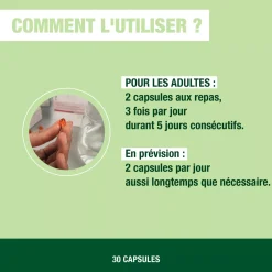 Capsules Bronches – Pour maintenir la santé des voies respiratoires – Pranarōm