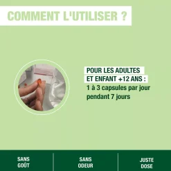 Capsules Santé Intestinale bio Oleocaps 2 – Aux Huiles Essentielles
