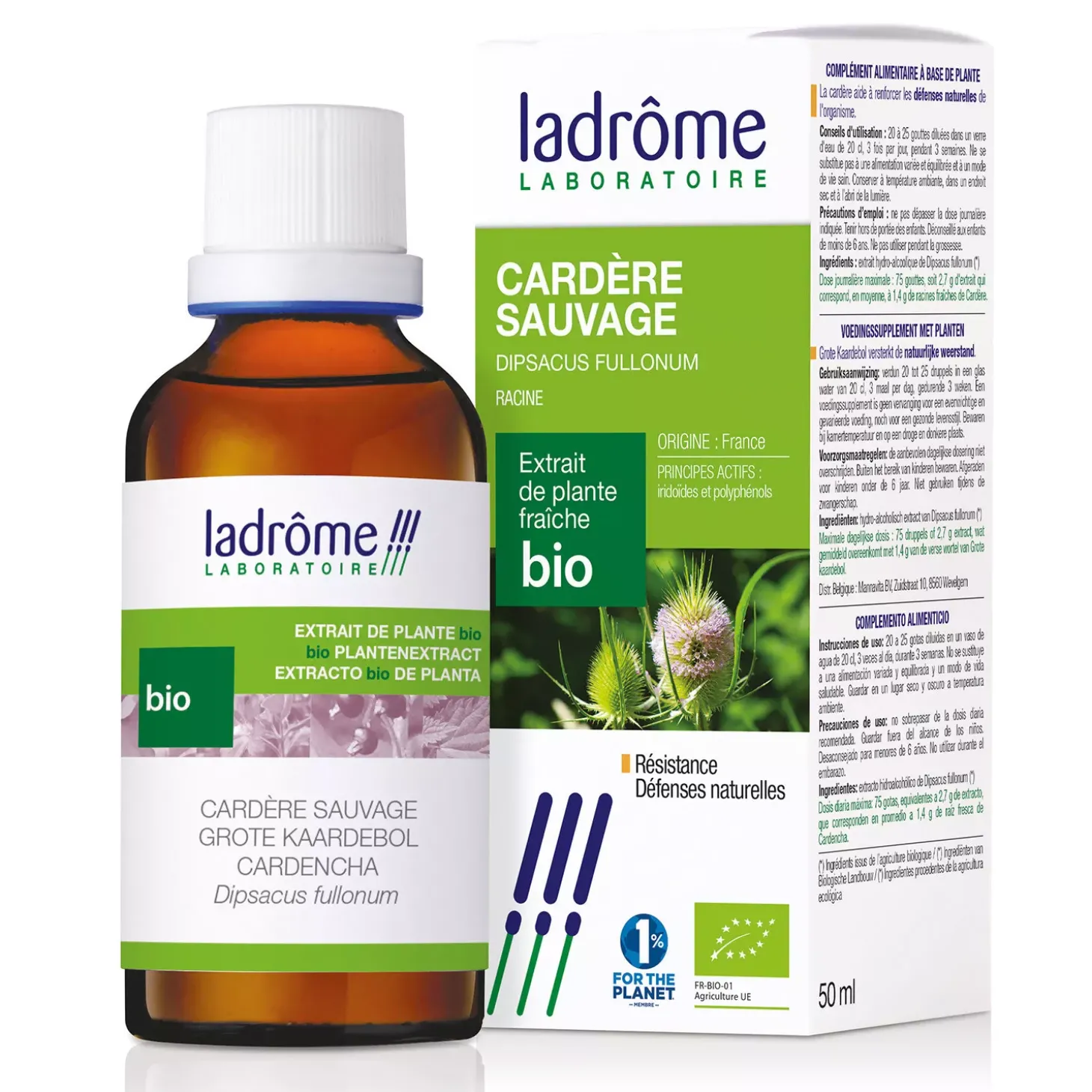 Cardère Sauvage bio – Dipsacus Fullonum – Extrait hydroalcoolique concentré