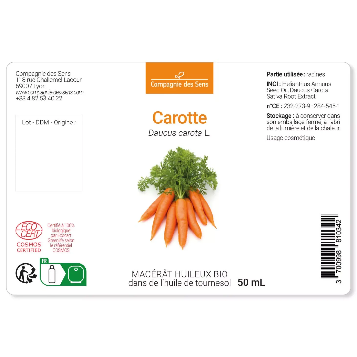 Carotte