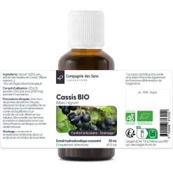 Cassis bio (Ribes Nigrum) – Extrait hydroalcoolique concentré
