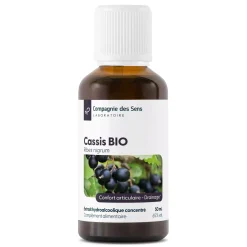 Cassis bio (Ribes Nigrum) – Extrait hydroalcoolique concentré