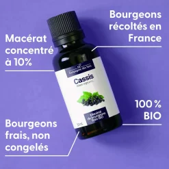 Cassis bio (Ribes Nigrum) – Macérat concentré de bourgeons frais