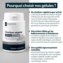 Charbon végétal super activé