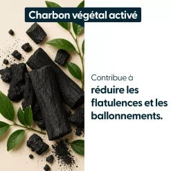 Charbon végétal super activé