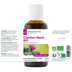Chardon-Marie bio (Silybum Marianum) – Extrait hydroalcoolique concentré