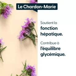 Chardon-Marie concentré